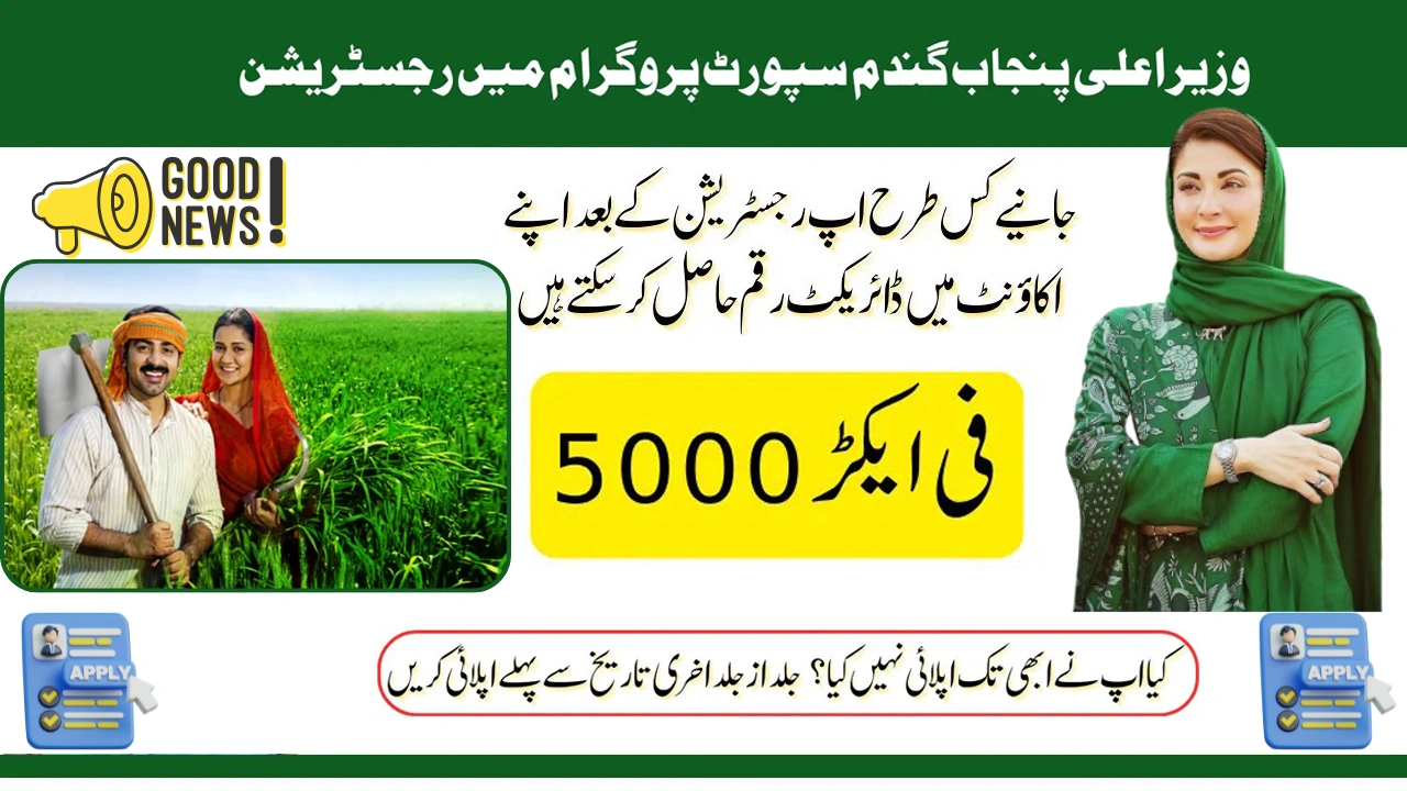 CM Punjab Launches Wheat Support Program 2025 – Apply Online Now and Get PKR 5,000 Per Acre