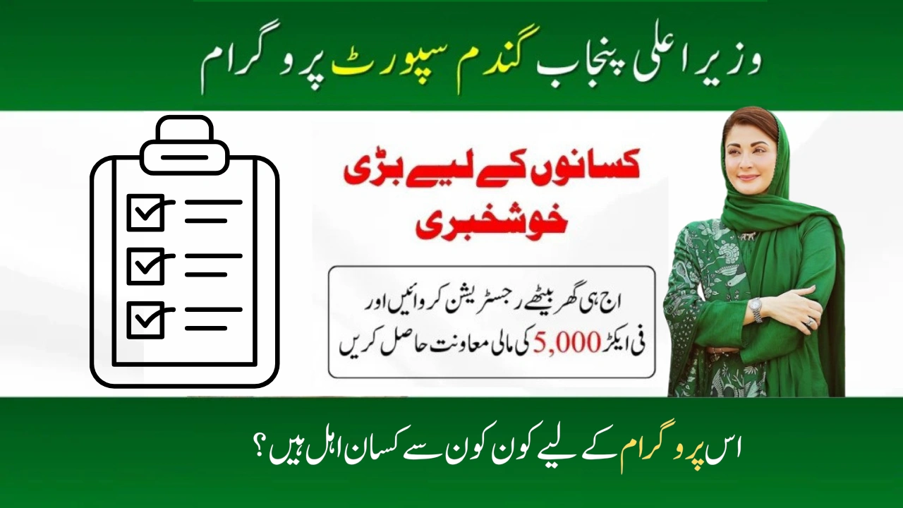 CM Punjab Wheat Support Program 2025