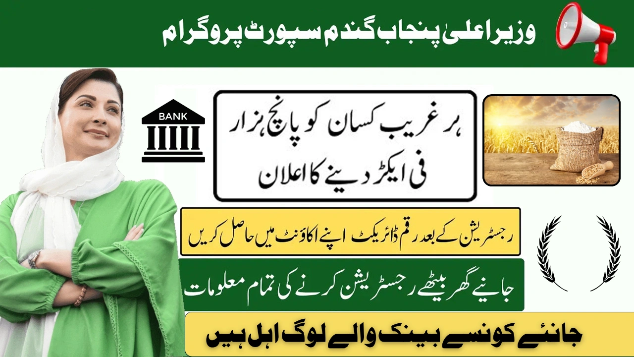 CM Punjab Wheat Support Program 2025 – Check Bank List Online to Receive Your PKR 5,000 Subsidy