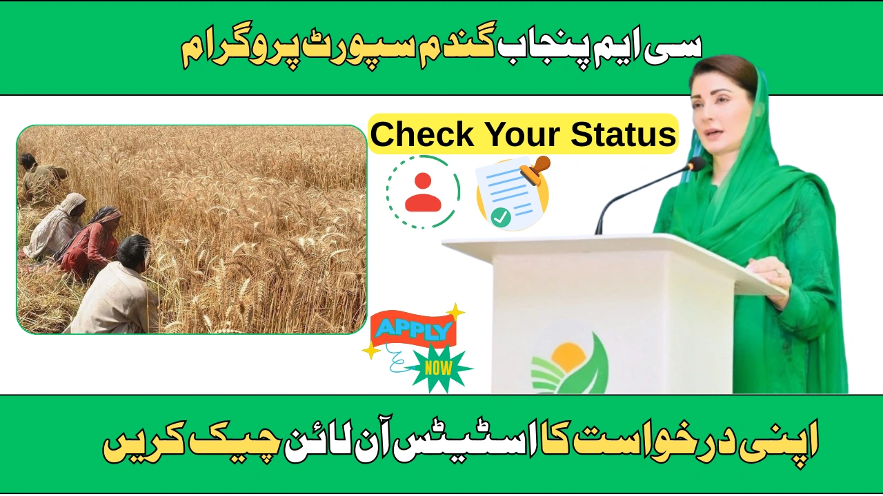CM Punjab Wheat Support Program 2025 – Step-by-Step Guide to Track Your Application Status