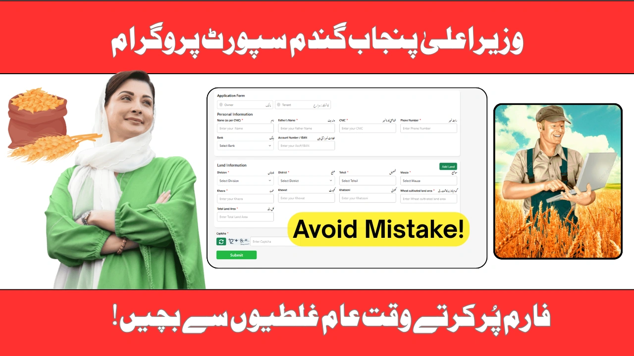 Common Mistakes to Avoid in Punjab Wheat Support Program 2025 Application Form