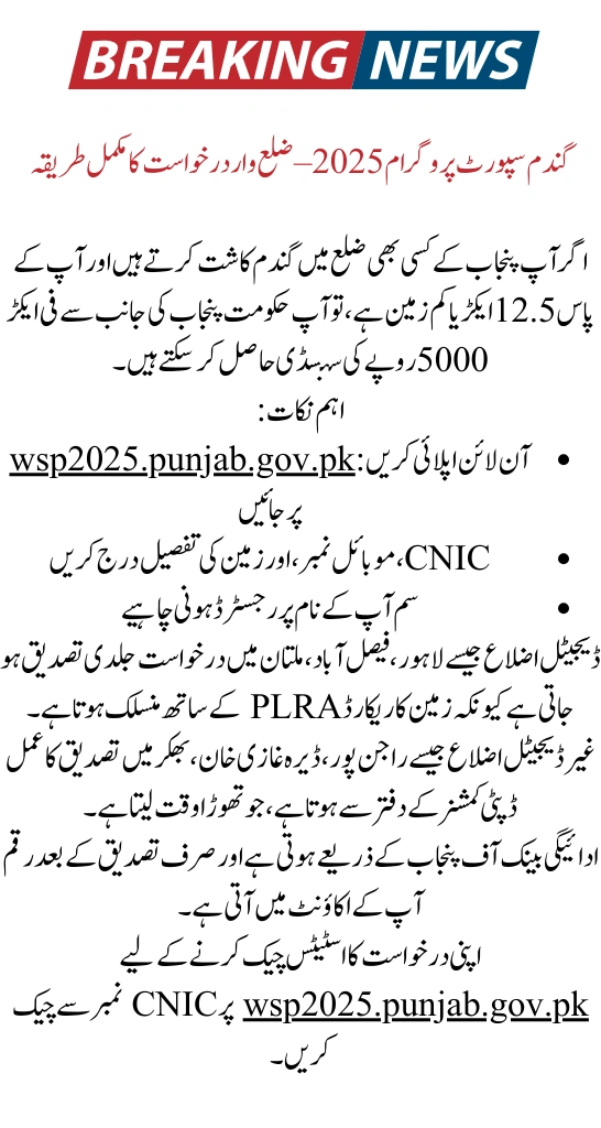 District-Wise Application Process for CM Punjab Wheat Support 2025