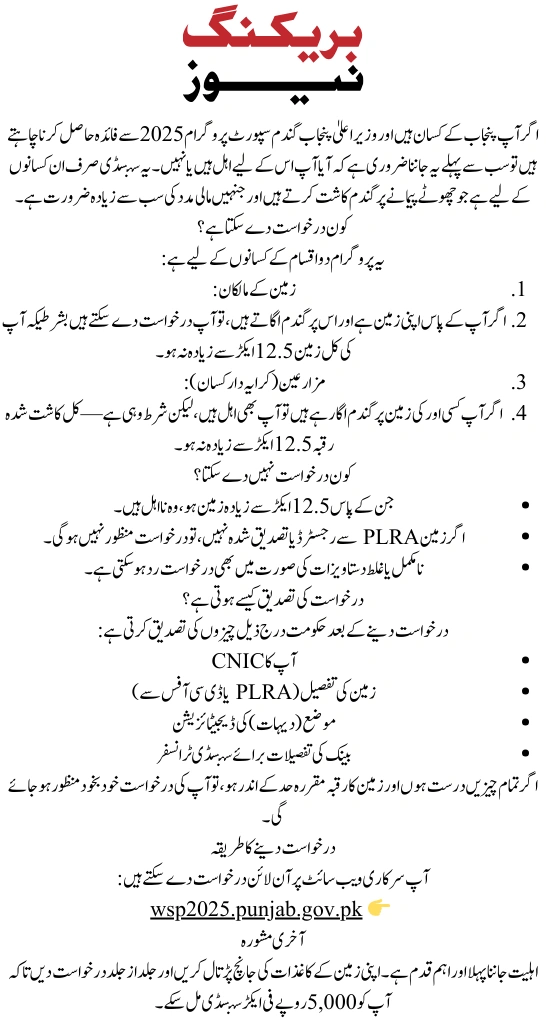 Everything You Need to Know About CM Punjab Wheat Support Program 2025 Eligibility Criteria