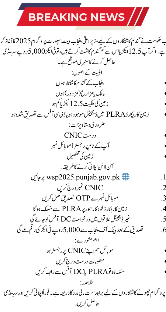 How to Apply for CM Punjab Wheat Support Program 2025 – Step-by-Step Guide