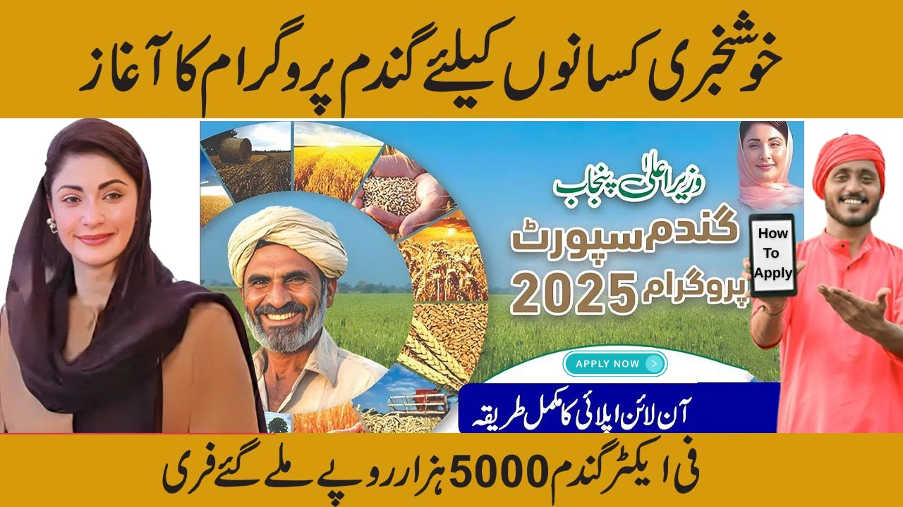 How to Apply for CM Punjab Wheat Support Program 2025 – Step-by-Step Guide