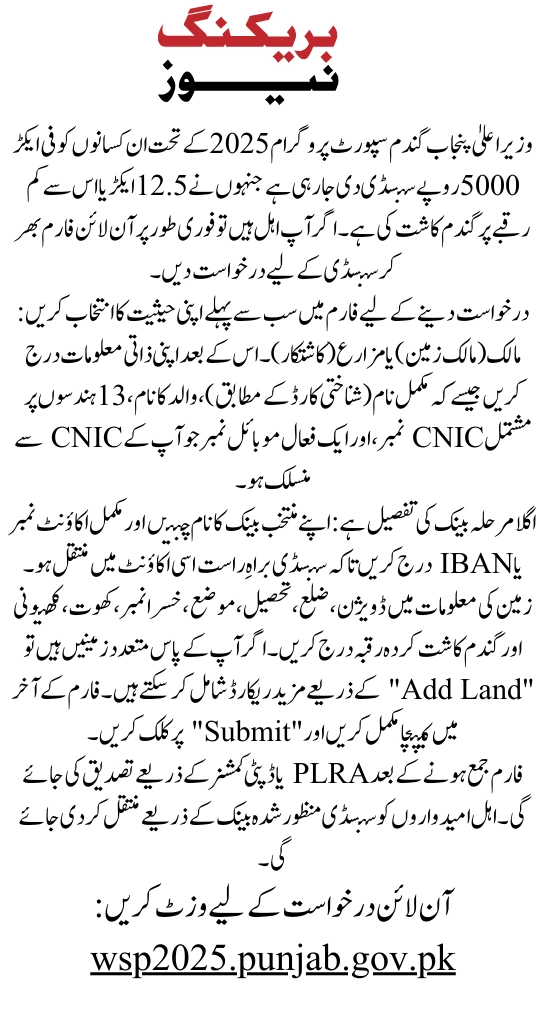 How to Fill CM Punjab Wheat Support Program 2025 Online Application Form