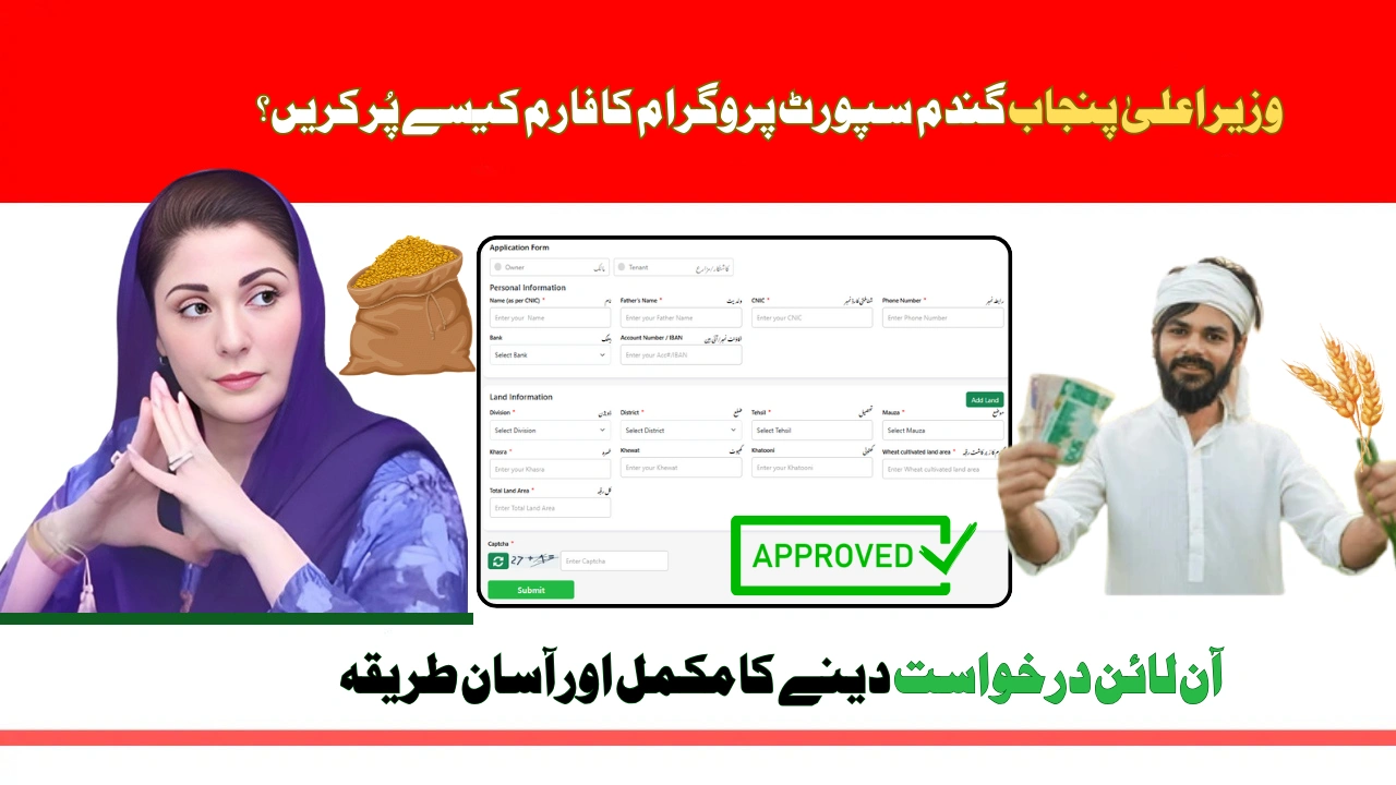 How to Fill CM Punjab Wheat Support Program 2025 Online Application Form
