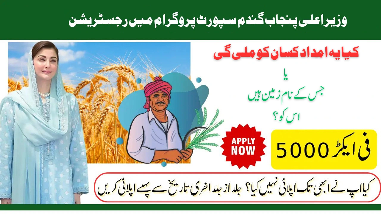 Landowners & Farmers – Who Can Apply for Wheat Support 2025