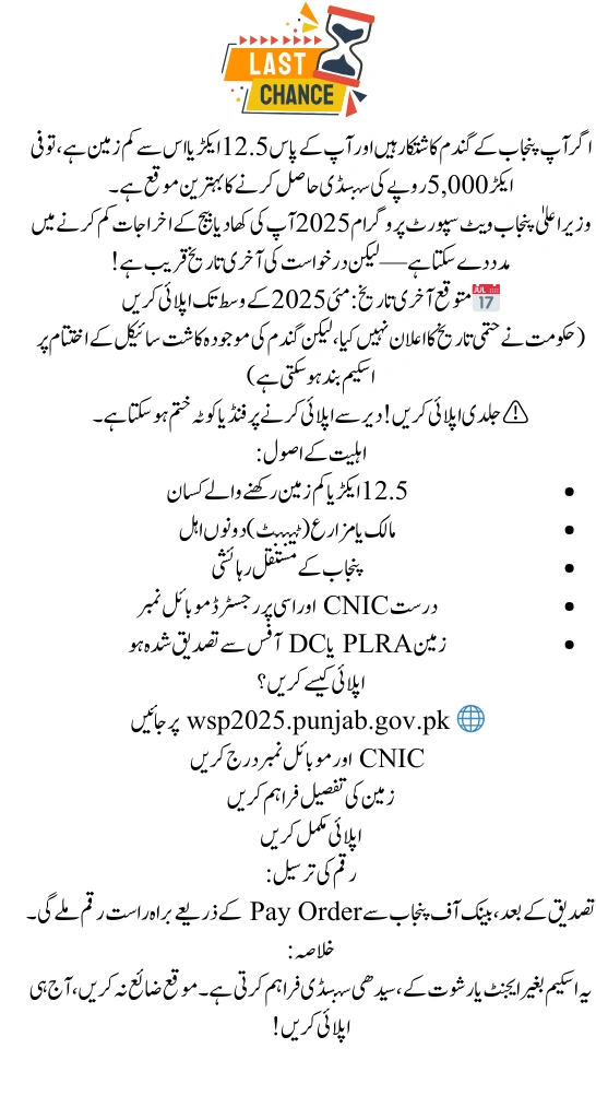 Last Date to Apply for CM Punjab Wheat Support Program 2025