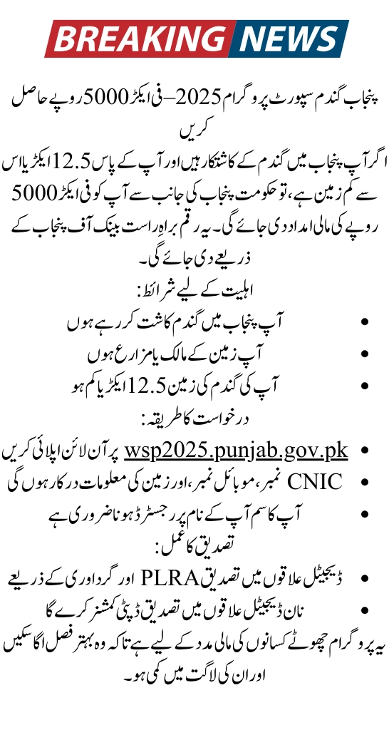Punjab Wheat Support 2025 – Apply For Rs 5,000 Per Acre Using Your CNIC