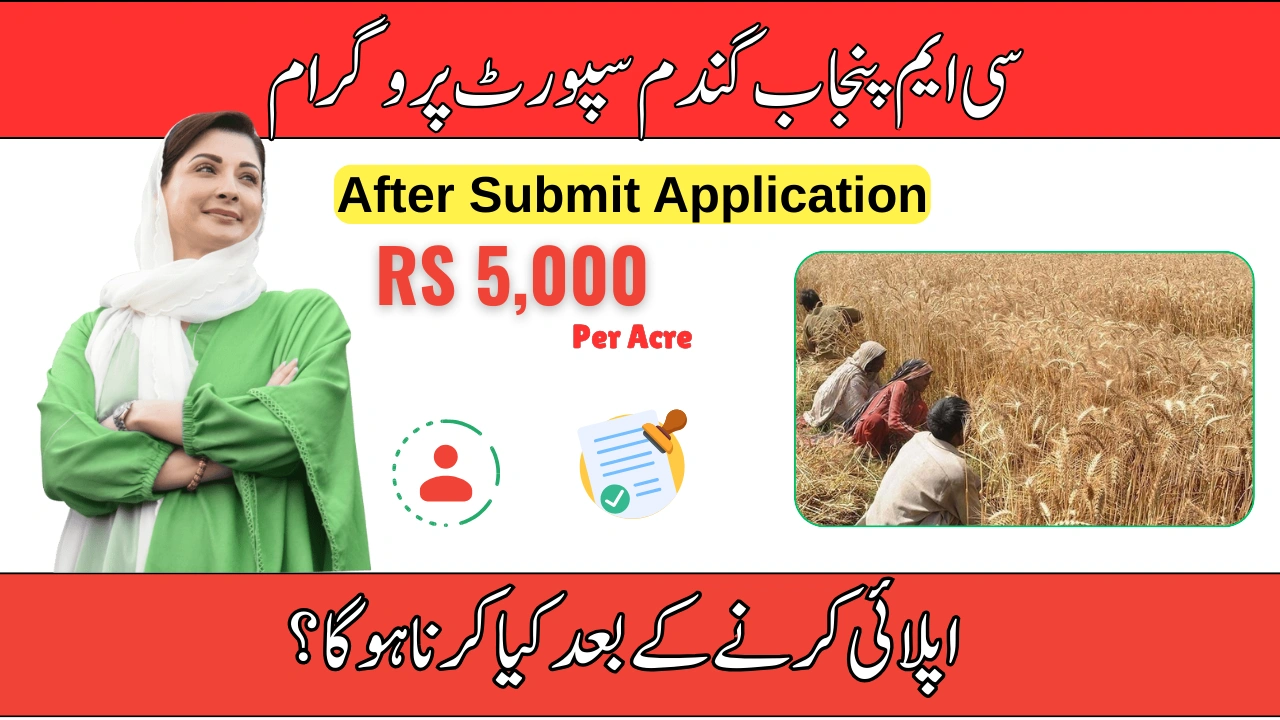 What Happens After Submitting Wheat Support Form 2025