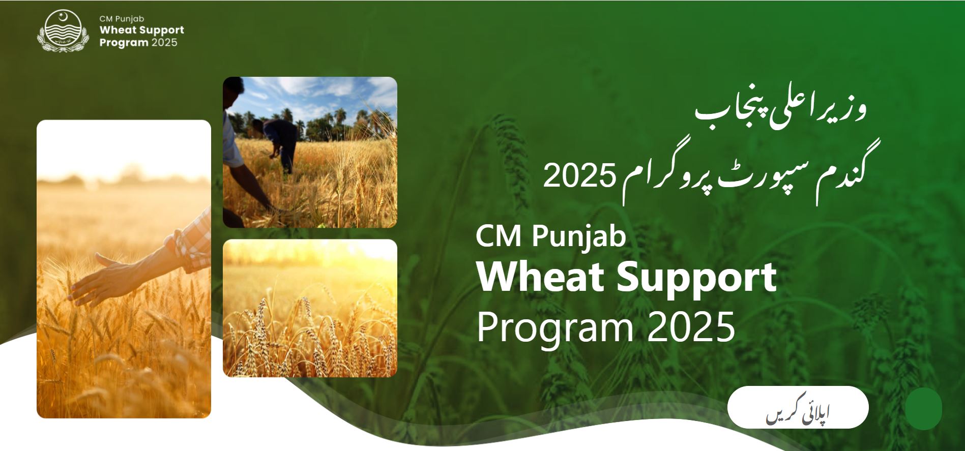 CM Punjab Wheat Support Program Apply Online via wsp2025.punjab.gov.pk