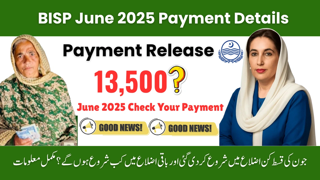 BISP 8171 June 2025 Payment Plan Released – Full District-Wise Guide