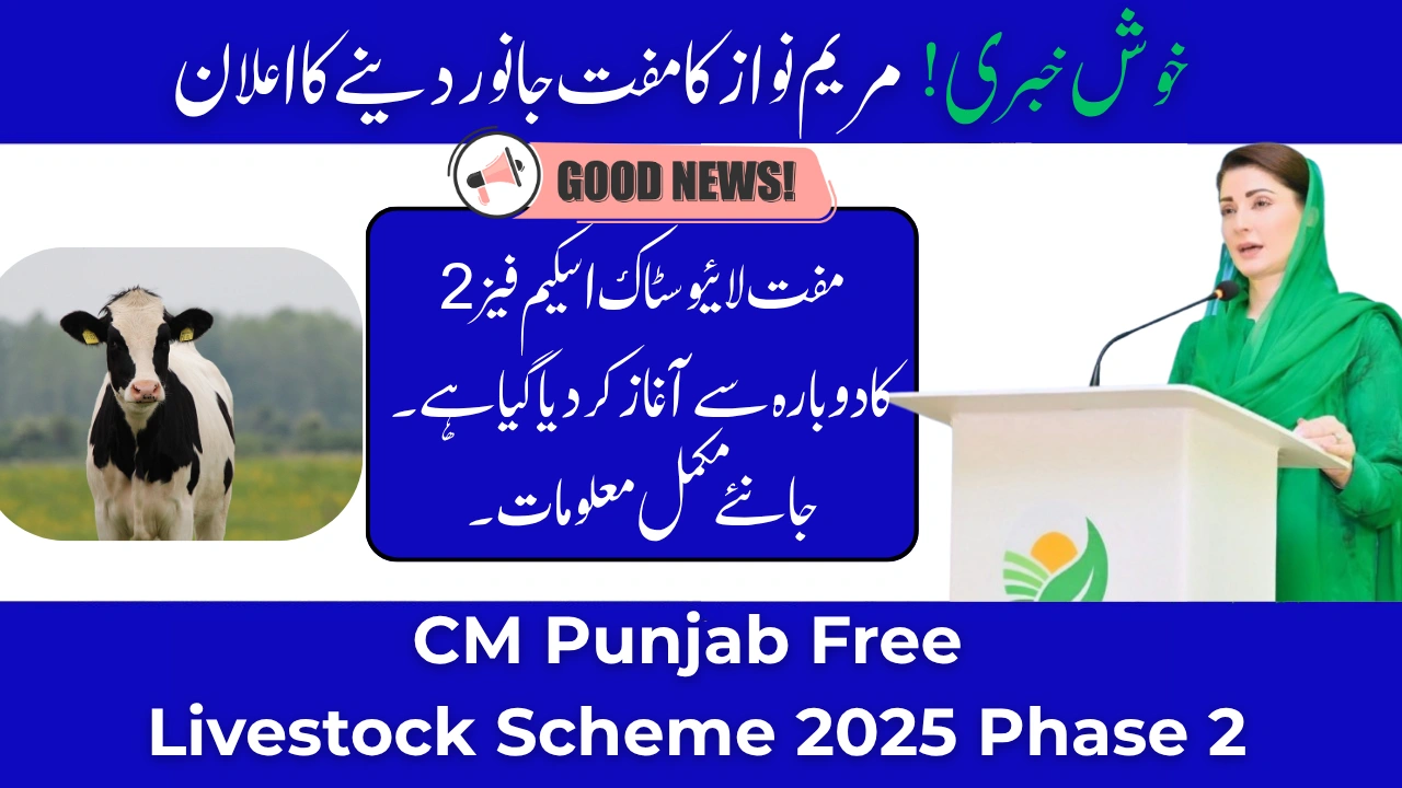 CM Punjab Free Livestock Scheme 2025 Phase 2