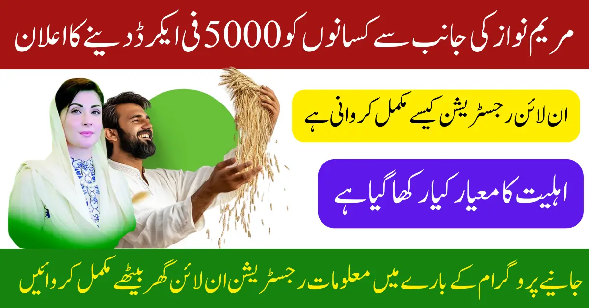 Get Rs. 5,000 Per Acre – Apply Online for CM Punjab Wheat Support 2025 (Easy Guide for Farmers)