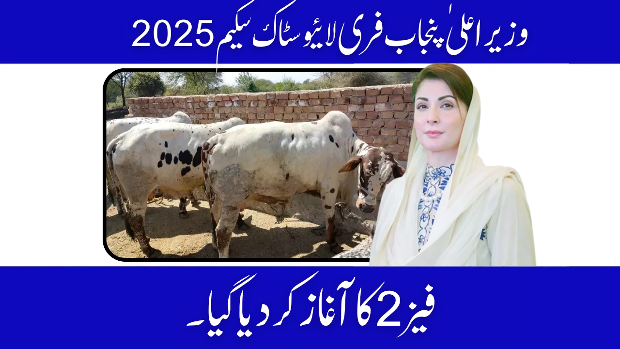 Required Documents for CM Punjab Free Livestock Scheme 2025 (Phase 2)