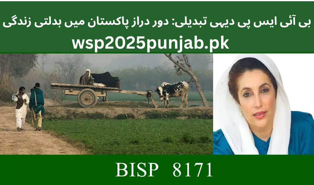 BISP Rural Transformation Changing Lives in Remote Pakistan
