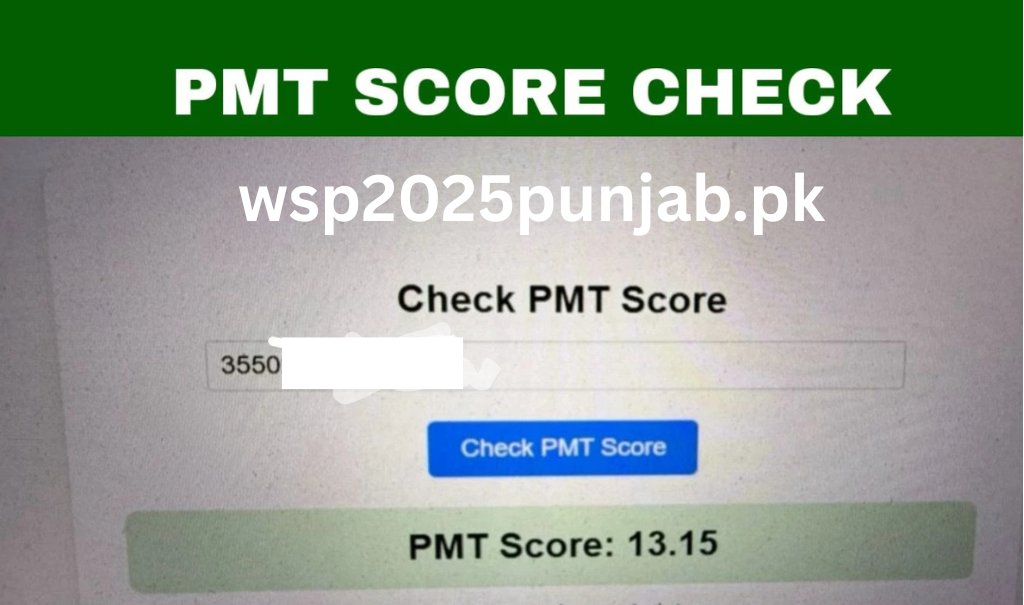 Check Your PMT Score to Know If You Qualify for BISP or Ehsaas Support