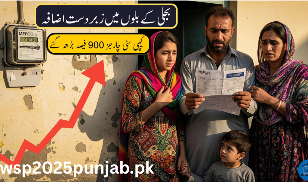 Electricity Bills in Pakistan Soar Capacity Charges Increased by 900%