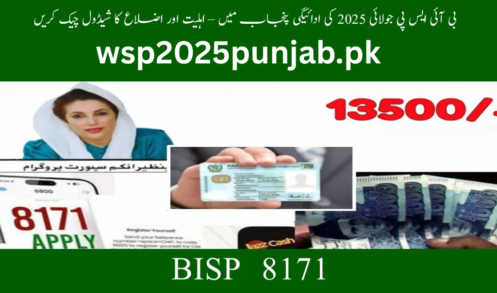 Punjab Districts BISP July 2025 Payments – Full Guide for Beneficiaries