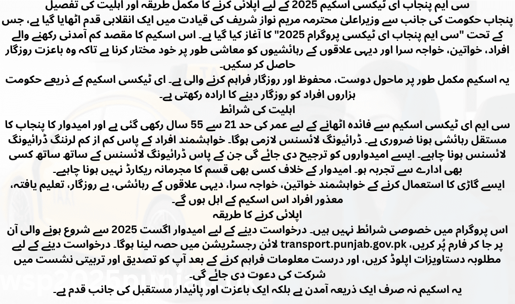 CM Punjab E-Taxi Scheme 2025 – A New Hope for Employment & Green Transport