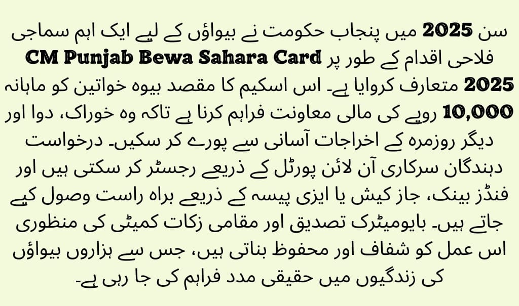 CM Punjab Bewa Sahara Card 2025