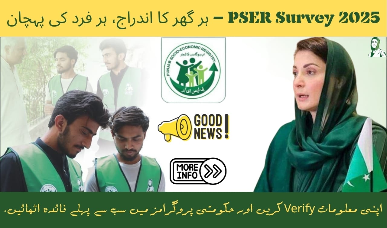 PSER Survey 2025