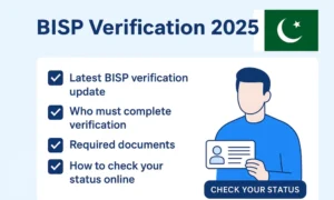 Benazir Kafalat New Payment November 2025