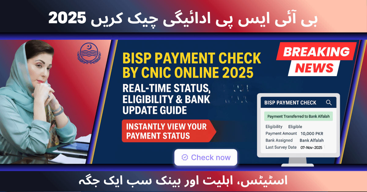 BISP Payment Check by CNIC Online 2025