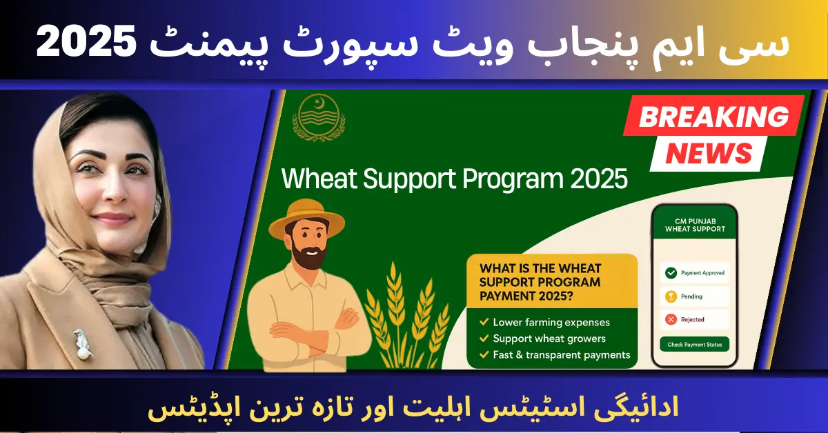 CM Punjab Wheat Support Program Payment 2025