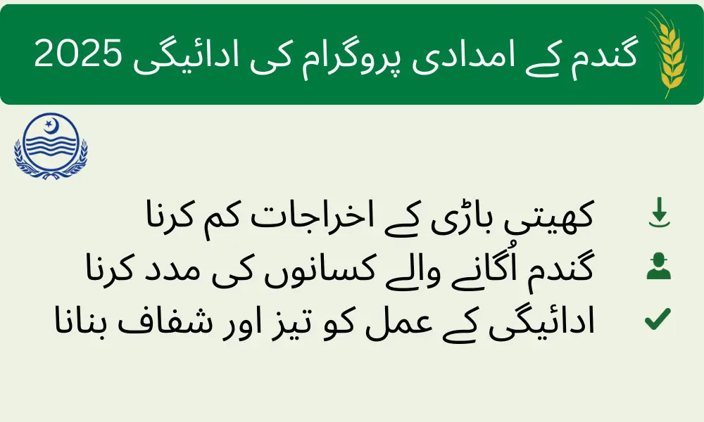 CM Punjab Wheat Support Program Payment 2025 – Check Payment Status Online, Eligibility & Latest Update