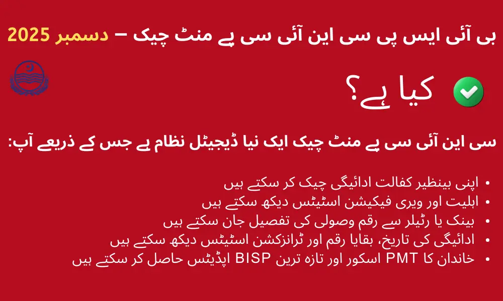 CNIC Payment Check 2025: New Update to Confirm Your BISP Payment in Seconds