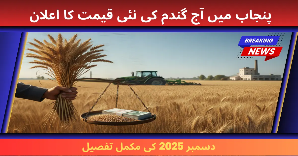 Punjab Announces New Today Wheat Price In Punjab December 2025 Update