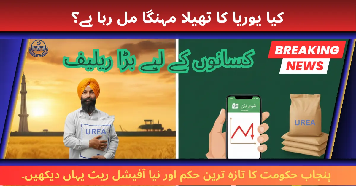 CM Punjab Announces New Price Of Urea In Punjab December 2025 Update