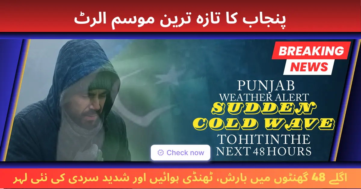 Punjab Weather Alert: Sudden Cold Wave to Hit in the Next 48 Hours
