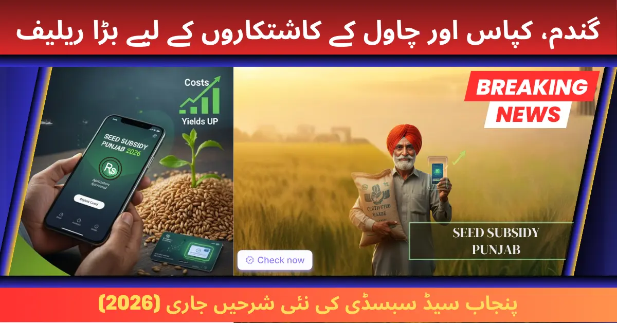 Seed Subsidy Punjab News – Big Price Update & Fresh Govt Announcement