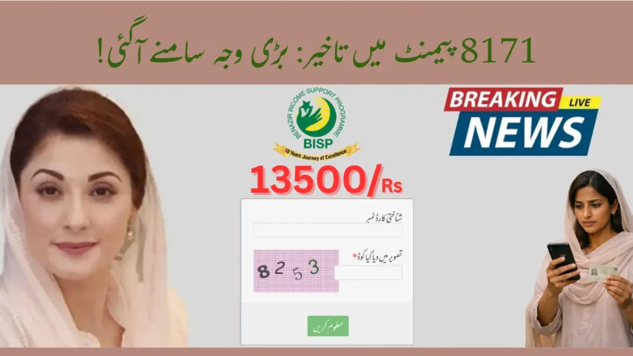 BISP 8171 Payment Delayed? Real Reasons & Simple Fix (February 2026 Update)