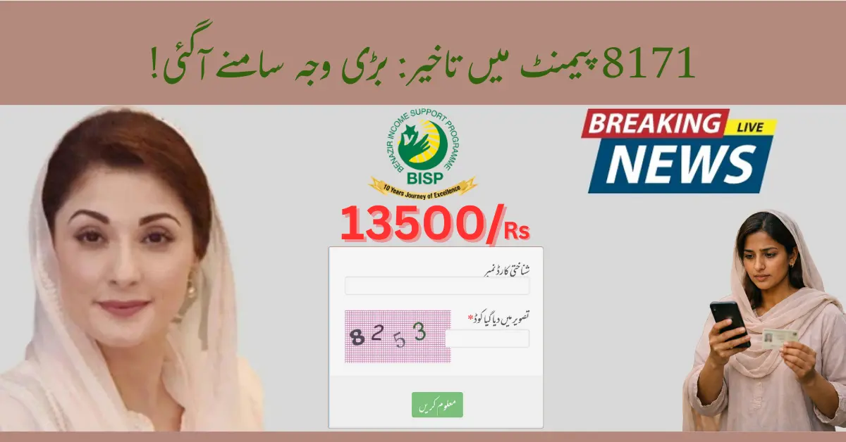 BISP 8171 Payment Delayed? Real Reasons & Simple Fix (February 2026 Update)